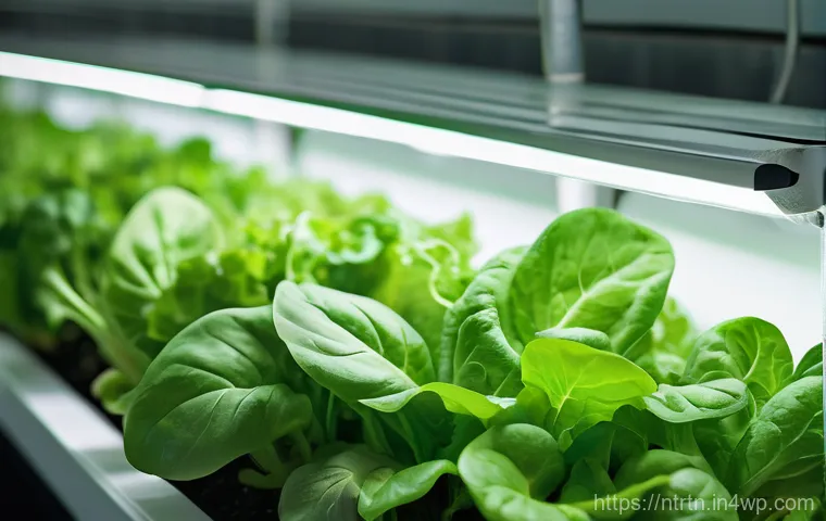 수경 재배의 장점과 단점 - A modern, clean vertical hydroponic farm integrated into a stylish urban apartment balcony. The syst...
