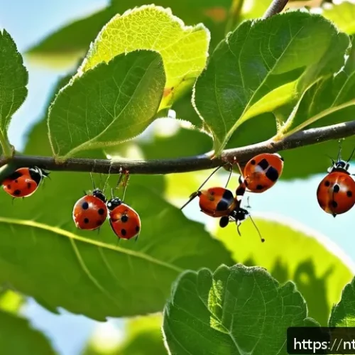 Home 17 농업에서의 생물학적 방제 기술 - A detailed close-up scene of a lush orchard where natural predators like ladybugs and parasitic wasp...
