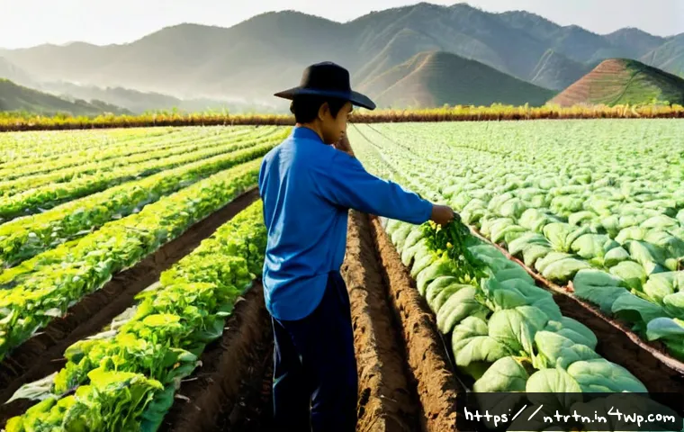 Home 17 기후 변화에 대응하는 농업 기술 - Photorealistic climate-smart agriculture scene, a farmer in practical work clothes inspecting a heal...